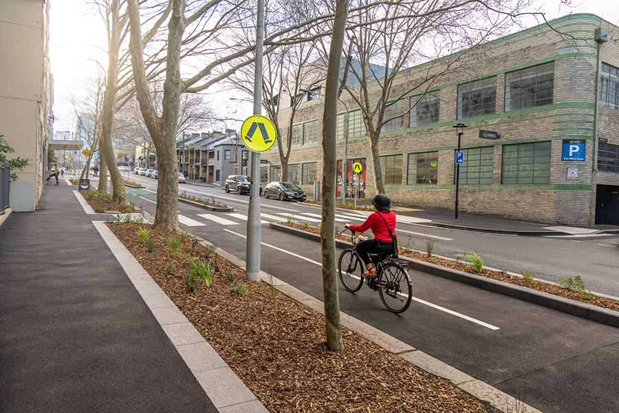 A cyclist rides along the Miller Street cycleway, separated from the footpath and road by a kerb and landscaping.