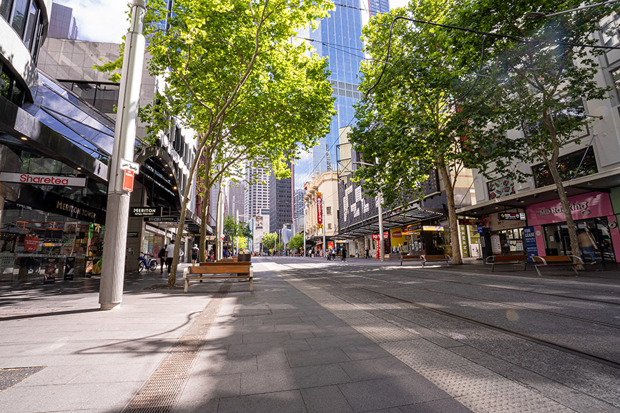 The tram tracks in the George Street, Sydney CBD, streetscape, overhung by trees.