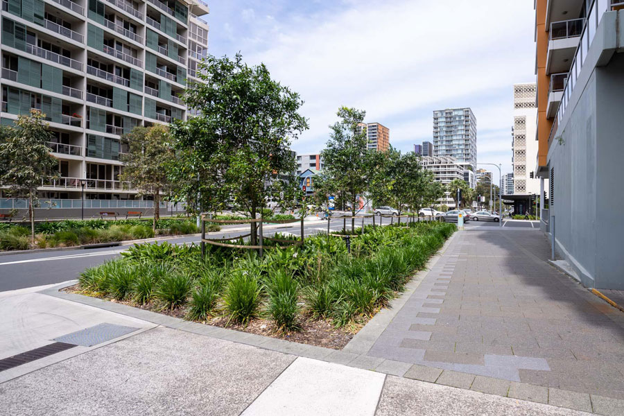 Trees and plants form a natural barrier between the road and the footpath at the Lachlan St and Gadigal Ave intersection.