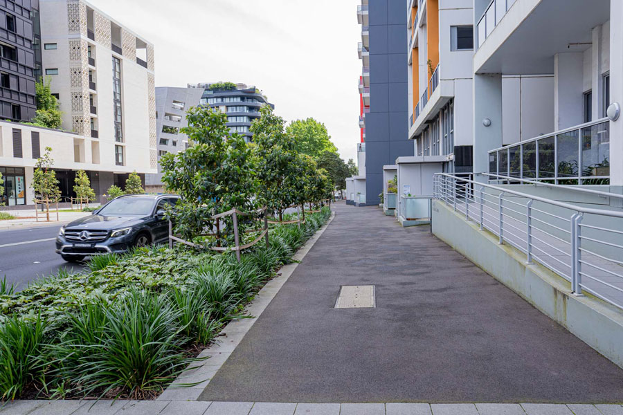 A footpath at the Lachlan St and Gadigal Ave intersection with green trees and plants on the left.